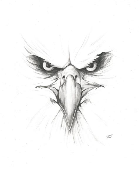 Mexican Eagle Drawing at PaintingValley.com | Explore collection of Mexican Eagle Drawing