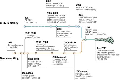 The new frontier of genome engineering with CRISPR-Cas9 | Science