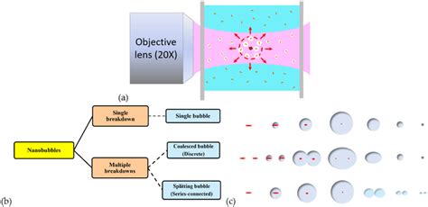 (a) Schematics of the formations of the initiated nanobubbles due to ...