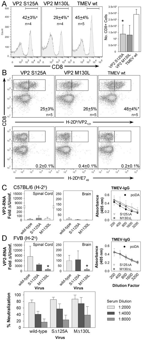 (A) CD45+ cells isolated from the central nervous system of VP2 mutant ...