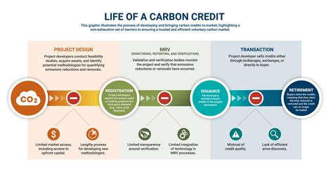 How to Build a Trusted Voluntary Carbon Market - RMI