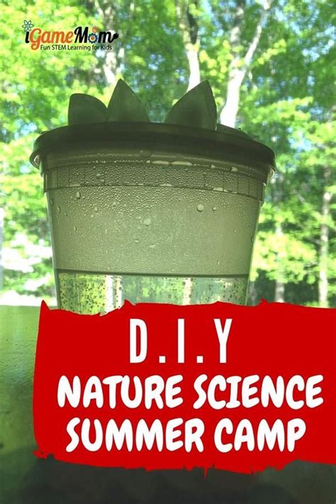 DIY Nature Science Summer Camp at Home | Summer science activities, Science summer camp, Kids ...