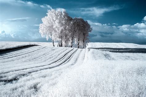 Przemyslaw Kruk's Haunting Infrared Landscapes Will Stun You