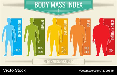 Man body mass index fitness bmi chart Royalty Free Vector