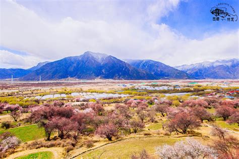 联合国都点赞的林芝桃花，已进入最美时节-2023林芝旅游榜单-林芝必体验-自助游攻略-去哪儿攻略