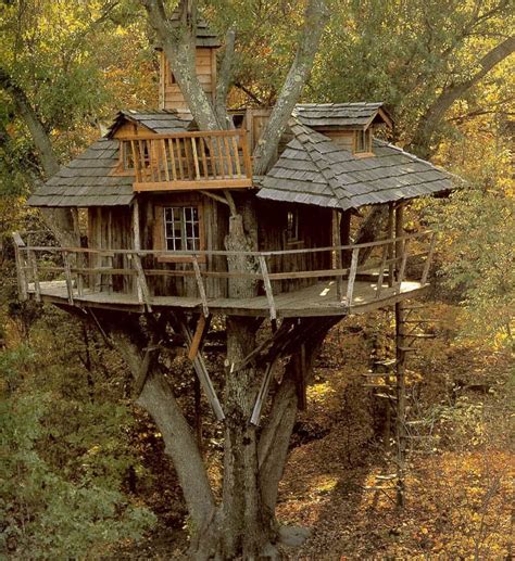 20 Tree Houses to Build for Your Kids