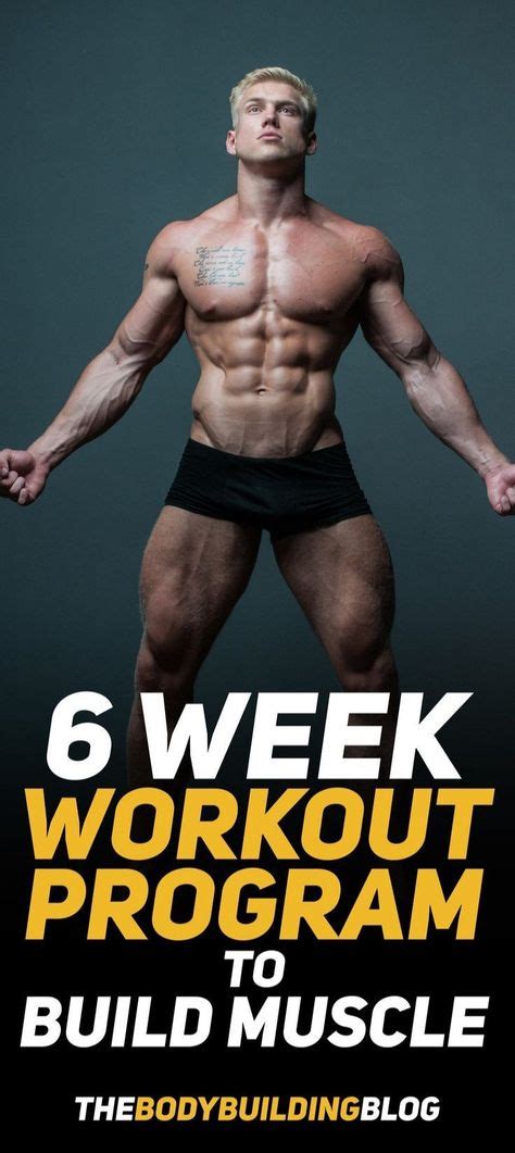 6 Week Workout Program To Build Muscle (With PDF) | Workout programs, 6 ...