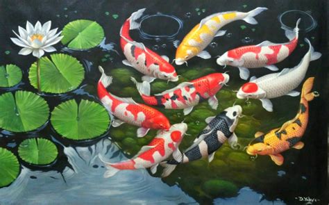 wallpaper ikan koi,koi,pond,fish pond,organism,fish (#115567) - WallpaperUse