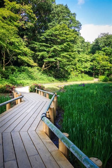 Meiji Jingu Garden, Yoyogi Park, Tokyo, Japan Stock Image - Image of tokyo, relaxation: 121328541