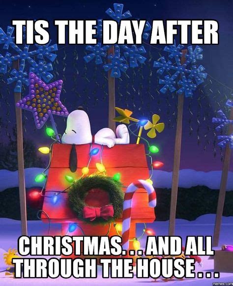 Pin by Lisa D'Ambrose on Christmas - The Day After | Christmas memes ...