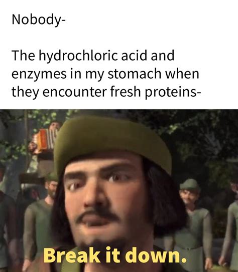 Making a meme from every line in Shrek (2001) Day 478 : r/sciencememes