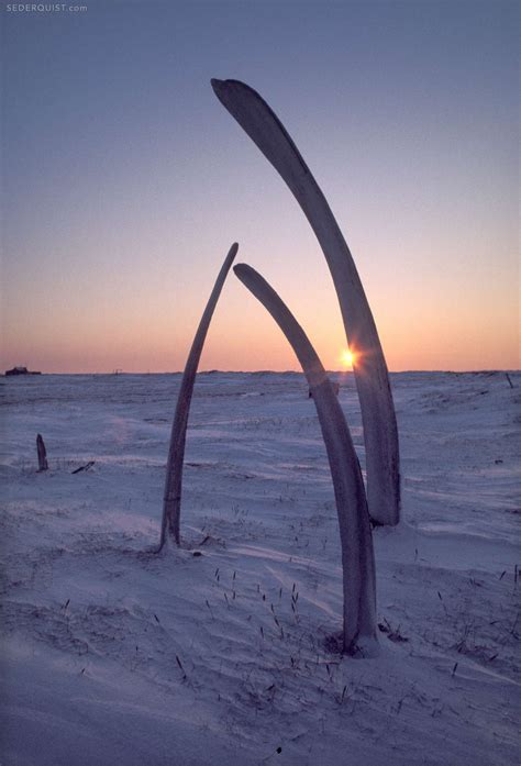 Whalebone Grave, Point Hope, Alaska - Betty Sederquist Photography