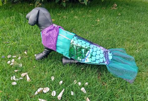 Little Mermaid Dog Costume, Mermaid Dog Costume, Halloween Dog Costume, Costume for Dogs, - Etsy