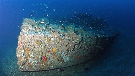 The Underwater World of Living Shipwrecks | Office of National Marine ...