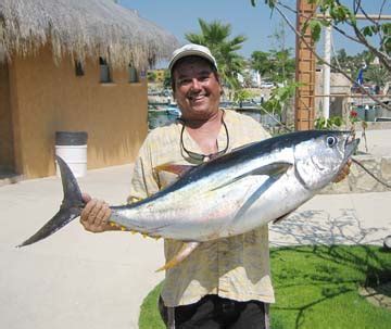 Cabo San Lucas marlin fishing counts good as big weather nears; solid ...