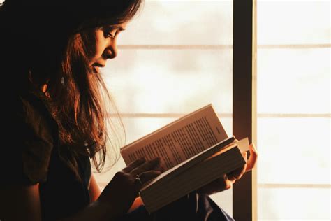 Woman Reading a Book Beside the Window · Free Stock Photo