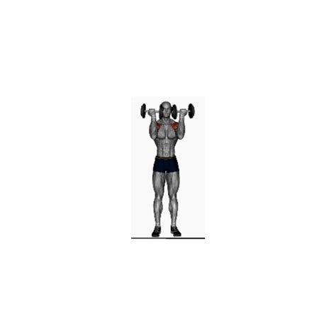 Standing Dumbbell Arnold Press - BP Training and Coaching