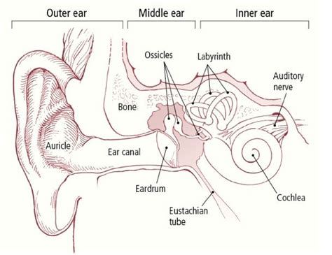 Barotrauma Guide: Causes, Symptoms and Treatment Options