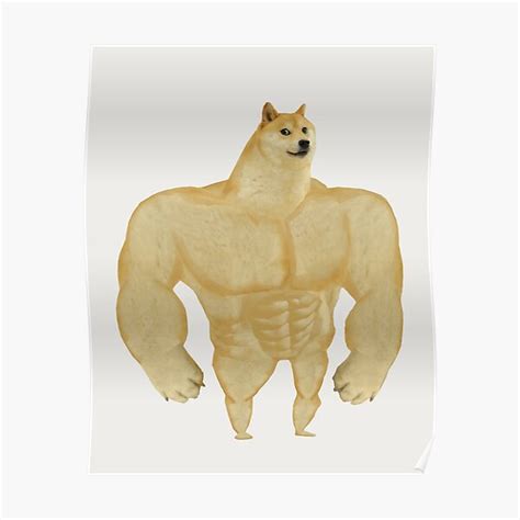 "Swole Doge muscular chad dog meme HD High Quality" Poster for Sale by iresist | Redbubble