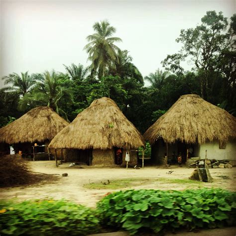 Thatch roof houses in Sierra Leone, West Africa. | Sierra leone, West africa, Africa