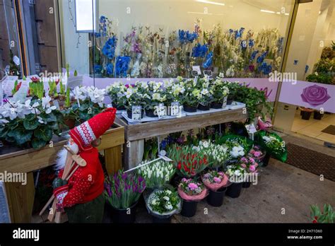 Flower shop in Luxemburg city, Luxemburg Stock Photo - Alamy