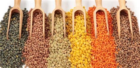 Cooking and preservation of your pulses - Adascan Grain Corporation