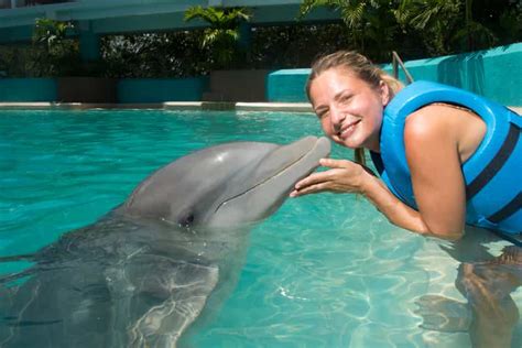 Cancún: Swim with Dolphins at Interactive Aquarium Cancún | GetYourGuide