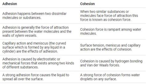 An Indepth Comparison Of Cohesion Vs Adhesion Science