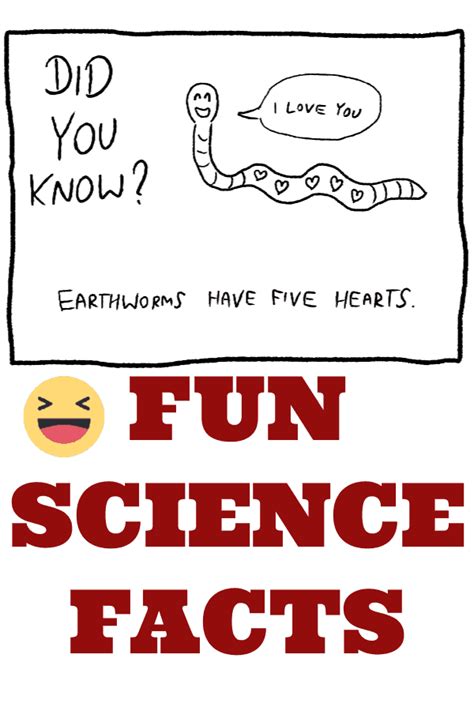 Fun Science Facts for Kids | Cool science facts, Fun facts for kids, Facts for kids