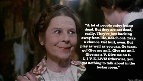 Harold And Maude Quotes. QuotesGram