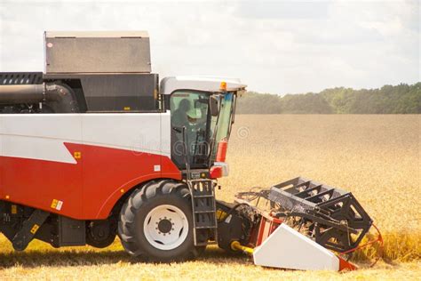 Harvester Machine To Harvest Wheat Field Working Stock Image - Image of combine, food: 125322893