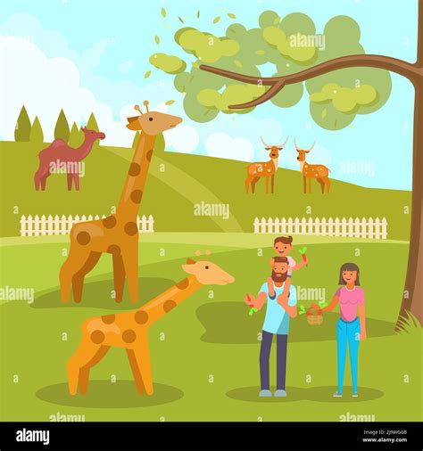 Giraffe feeding tree Stock Vector Images - Alamy