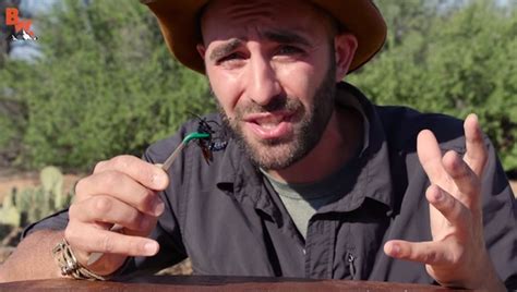 Man lets a tarantula hawk sting him and the video is absolutely crazy