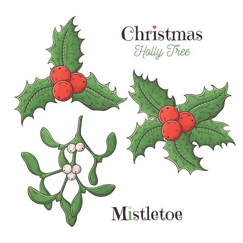 Premium Vector | Christmas holly and mistletoe white