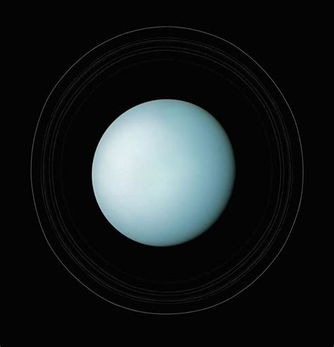 Uranus and its rings. Captured by Voyager 2 on January 24, 1986 : spaceporn