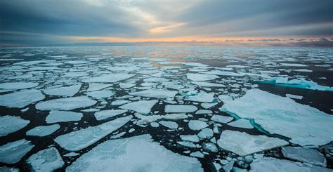 Arctic sea ice winter peak in 2023 is fifth lowest on record - Carbon Brief