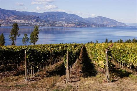 4-Hour Okanagan Valley Wine Tasting. Wineries of East Kelowna Bench ...