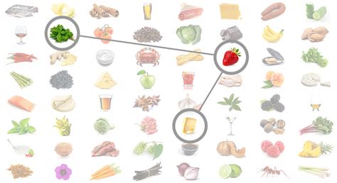 How does the Foodpairing Tool work? - Foodpairing