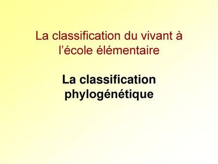 classification phylogénétique simplifiée