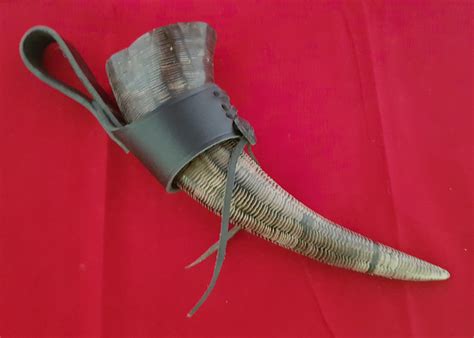 Drinking Horn Type 29 - Water Buffalo Drinking Horn - The Red Knight