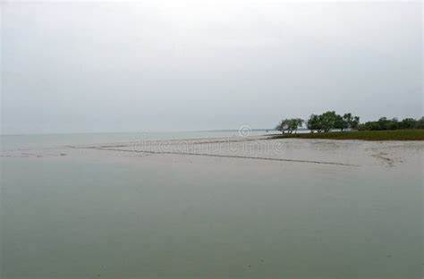 Ganges Delta in Sundarbans, West Bengal, India Stock Image - Image of ...