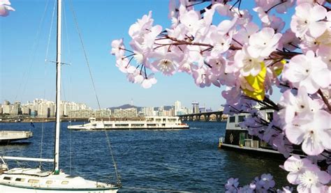 Han River Cruise (Day & Night) Ticket - Trazy, Korea's #1 Travel Guide