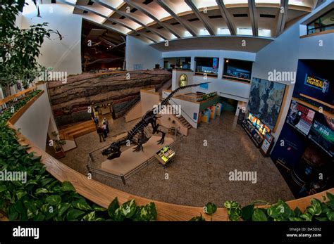 Albuquerque museum hi-res stock photography and images - Alamy