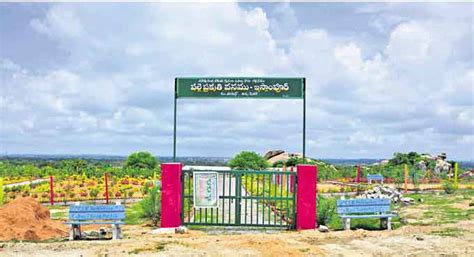 Telangana to develop Bruhat Palle Prakruthi Vanams in all mandals