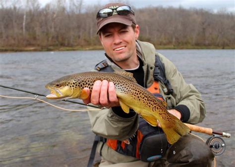 Incredible Best Time To Trout Fish In Arkansas References