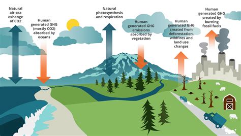 Climate Change Explained | Pierce County, WA - Official Website