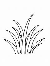 Grass coloring pages sketch template