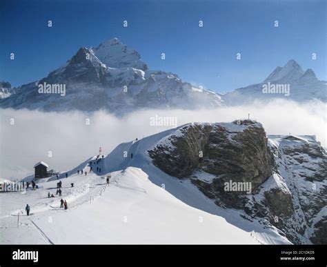 Wetterhorn Grindelwald Switzerland Stock Photo - Alamy