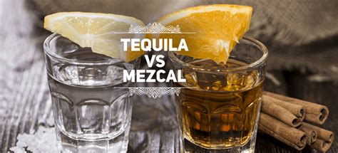 What is the Difference between Tequila and Mezcal? - ThingsMenBuy.com