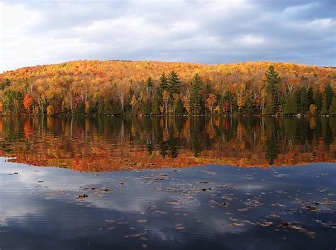 Ricker Pond State Park - 4 Photos - Groton, VT - RoverPass